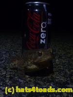 /home//u458753944/public_html/sourcegallery///////Roxborough Toad Detour/2013-2019/2013/2013-05-19/P1120445.JPG